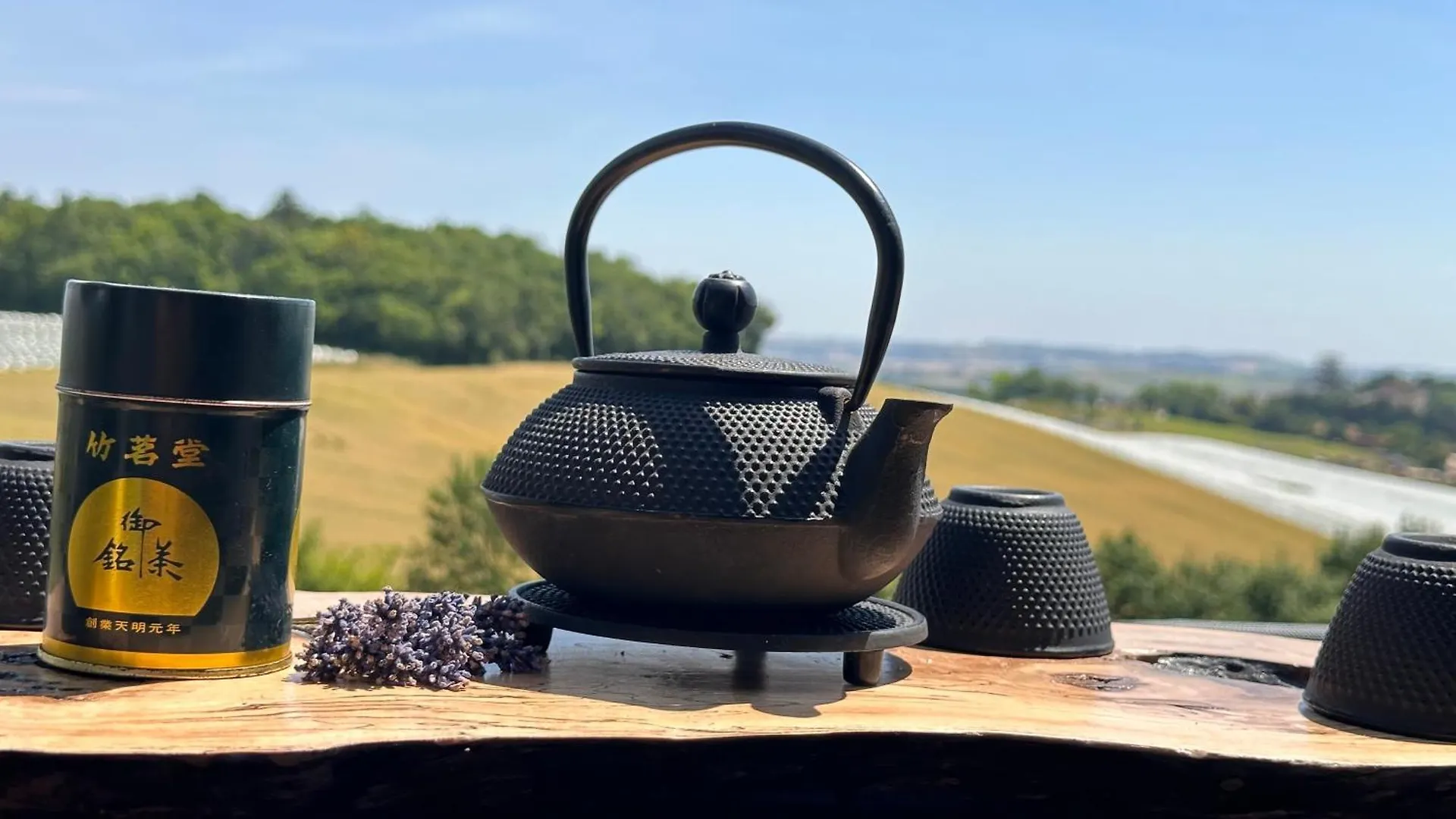 Domaine Lea Chanflaur - Spa - La Maison Du Bonheur Terraube